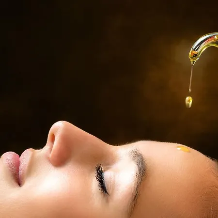 Отель Wellness & Ayurveda Am Eichenberg