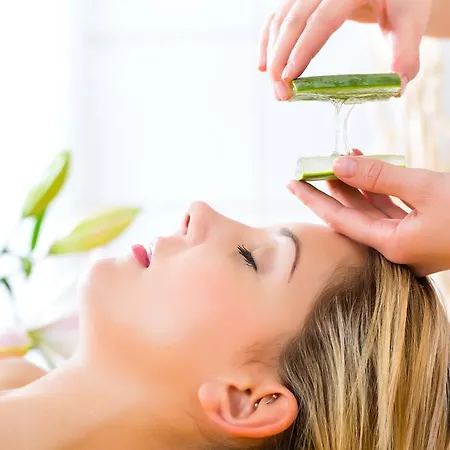 Wellness & Ayurveda Am Eichenberg Отель Бад-Гарцбург