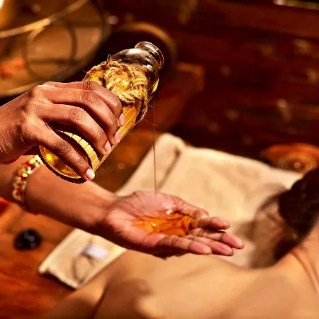 Отель Wellness & Ayurveda Am Eichenberg Бад-Гарцбург