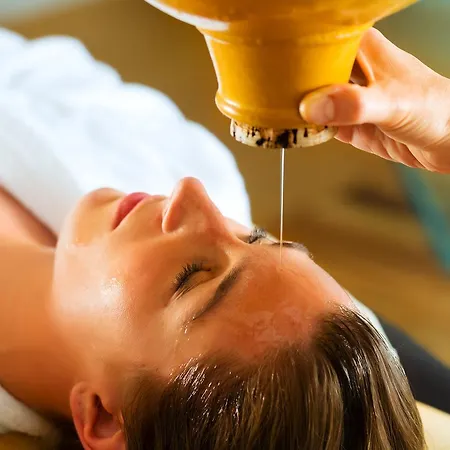 Wellness & Ayurveda Am Eichenberg 4* Бад-Гарцбург